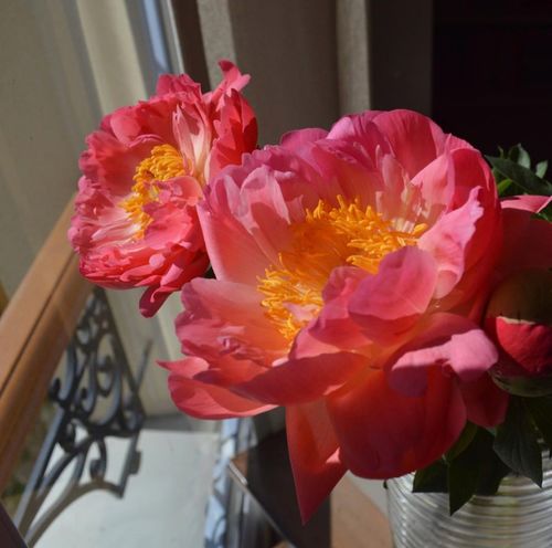 法國藝術家Olena Duchêne的花卉,畫得太好看了