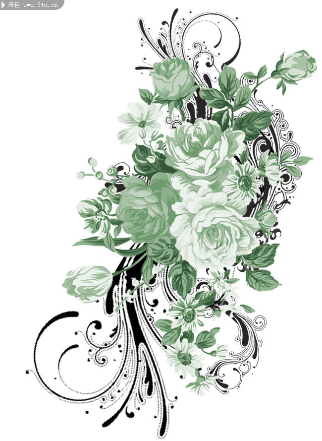 精美花卉圖片 插畫psd素材