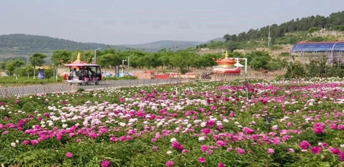 濟南市特色林果花海旅游季暨公園景區花朝節開幕