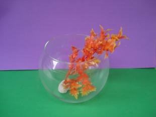 供應(yīng)160精品花卉魚缸價(jià)格_供應(yīng)160精品花卉魚缸廠家_世界工廠網(wǎng)產(chǎn)品信息庫(kù)