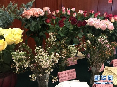新華網(wǎng):第十九屆中國(guó)昆明國(guó)際花卉展13日開幕各式花卉讓人眼“花”繚亂