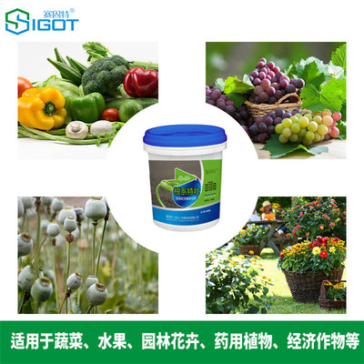 根系特壯液體水溶肥 果樹膨果肥 甜瓜葉面肥廠家圖片_高清圖_細(xì)節(jié)圖-賽固特