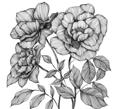創意花卉圖