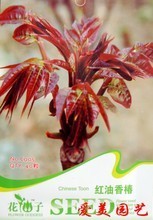 【盆栽室內花卉批發】最新最全盆栽室內花卉批發 產品參考信息