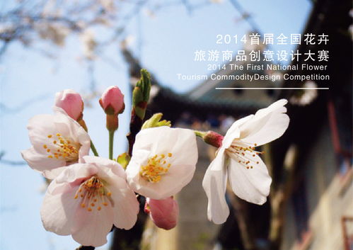 花卉旅游產(chǎn)品設(shè)計(jì)大賽